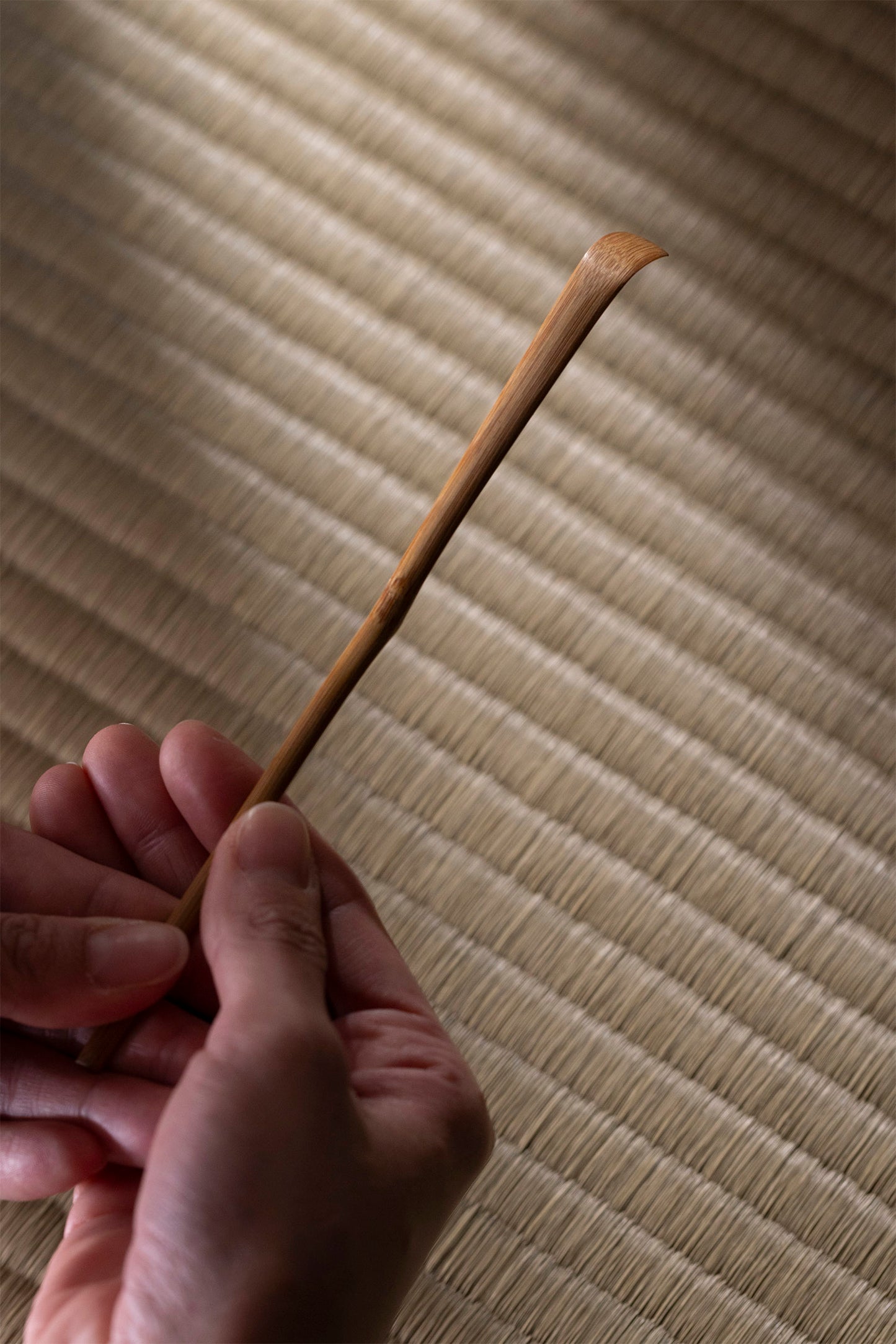 Tea Scoop named "Yama-zakura"