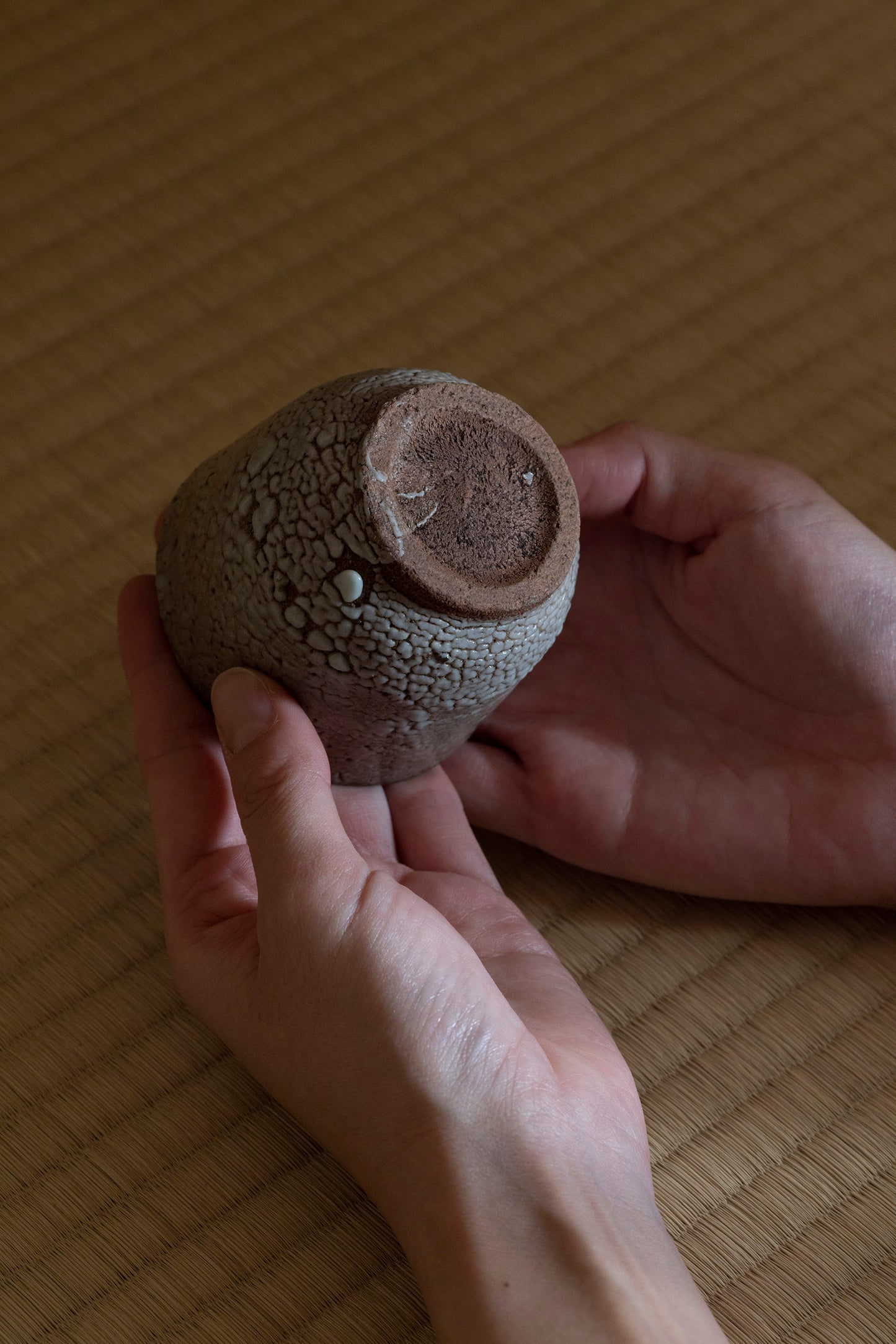 Karatsu Sake Cup